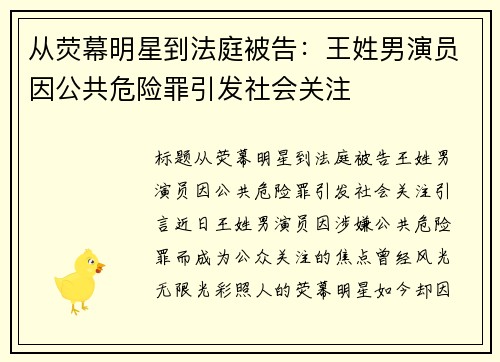 从荧幕明星到法庭被告：王姓男演员因公共危险罪引发社会关注